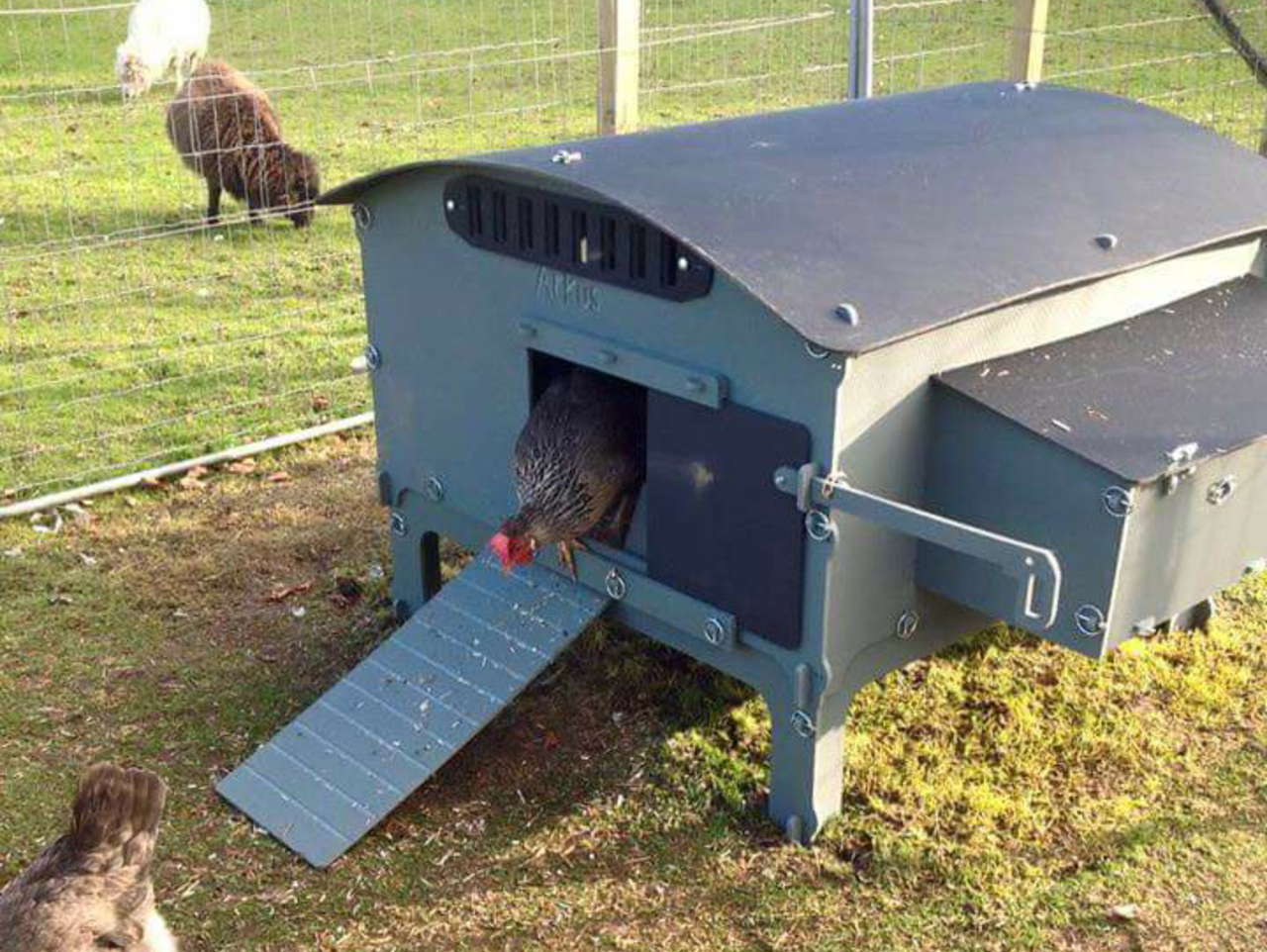 Large Chicken House options